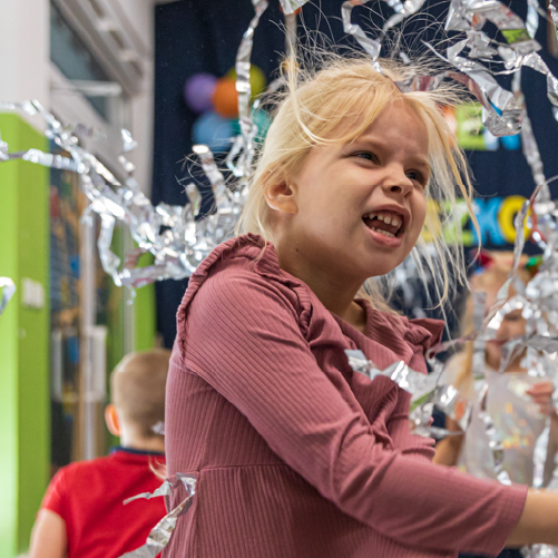 seszeleObszar roboczy 11