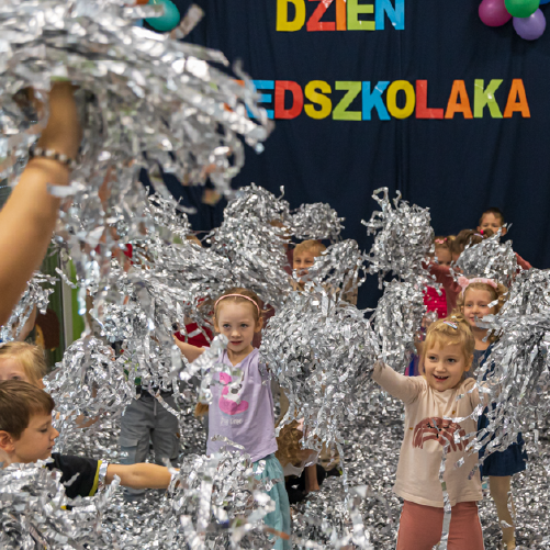 seszeleObszar roboczy 8